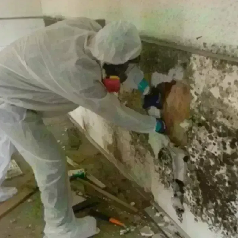 Mold Remediation and Removal in Poughkeepsie, NY